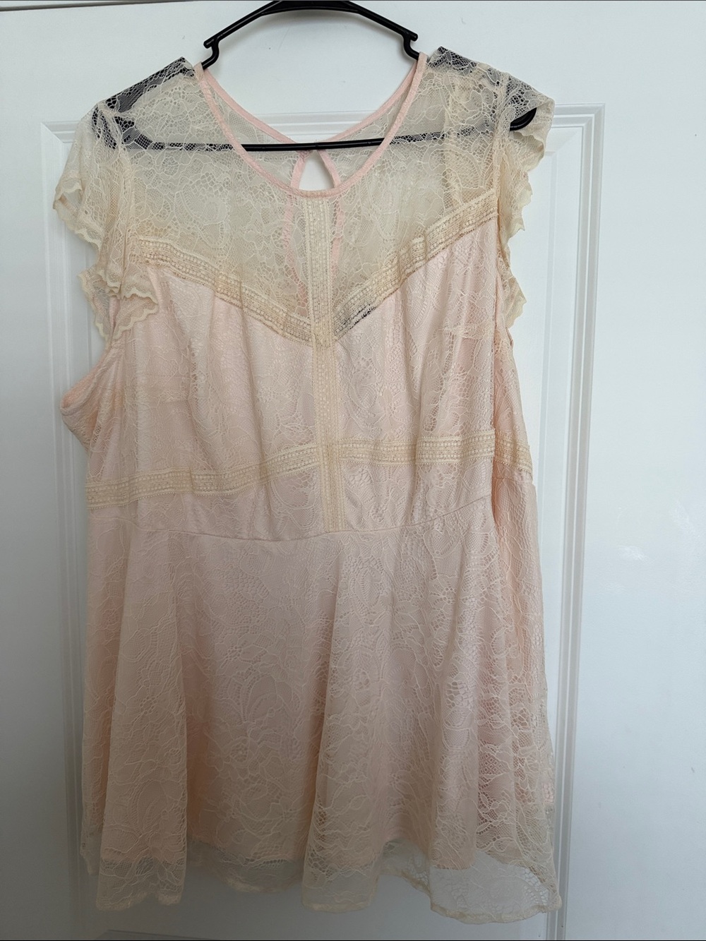 torrid Sheer Lace Chemise in Light Pink and Cream
